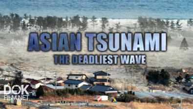 Азиатские Цунами: Смертельная Волна / Asian Tsunami: The Deadliest Wave (2014)