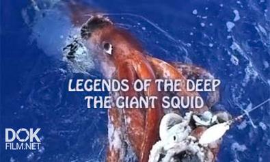 Последняя Загадка Глубин. Гигантский Кальмар / Legends Of The Deep. The Giant Squid (2013)