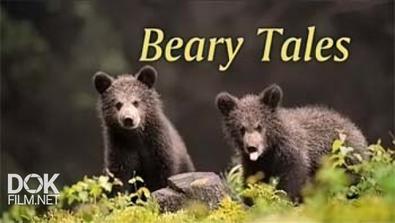 Медвежьи Истории / Beary Tales (2014)