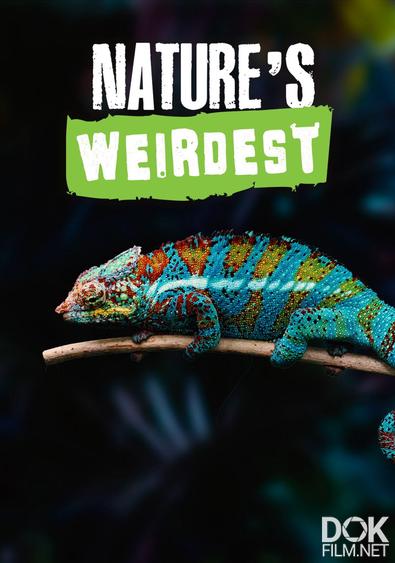 Самые странные существа/ Nature's Weirdest (2021)