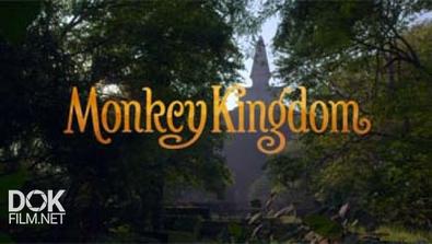 Королевство Обезьян / Monkey Kingdom (2015)