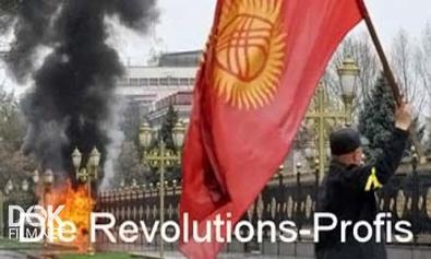 Профи От Революции / Die Revolutions-Profis (2011)