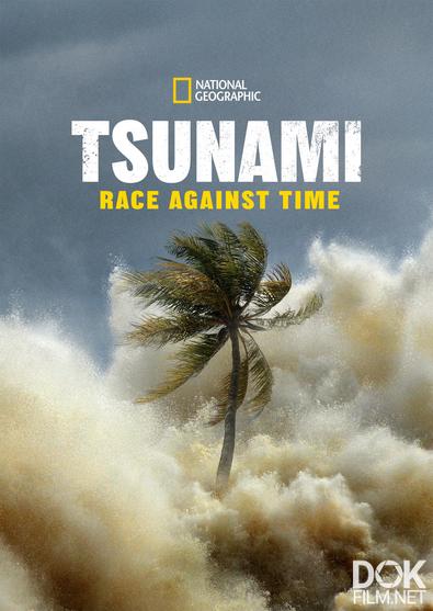 Цунами: наперегонки со временем/ Tsunami: Race Against Time (2024)