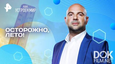 Как устроен мир с Тимофеем Баженовым. Осторожно, лето! (27.06.2025)