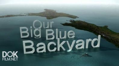Океан На Заднем Дворе / Our Big Blue Backyard (2014)