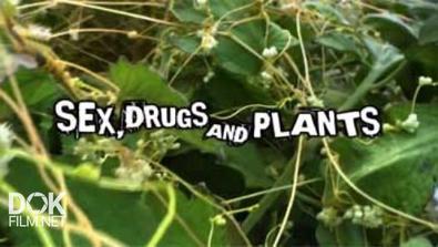 Поразительные Растения / Sex, Drugs And Plants (2009)