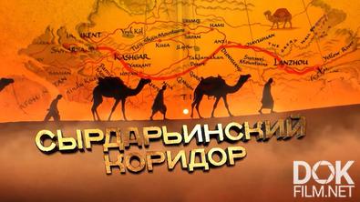 Сырдарьинский коридор. Руины торговых городов (2025)