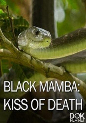 Черная Мамба: Поцелуй Смерти / Black Mamba: Kiss Of Death (2013)