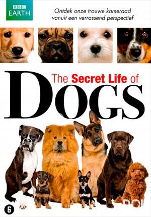 Тайная жизнь собак/ The secret life of the dog (2010)
