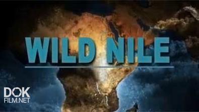 Дикий Нил / Wild Nile (2014)