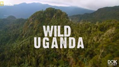 Дикая Уганда/ Wild Uganda (2018)