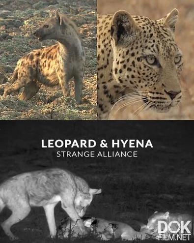 Леопард и гиена: Необычный союз/ Leopard & Hyena: Strange Alliance (2020)