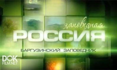 Заповедная Россия. Баргузинский Заповедник (2011)