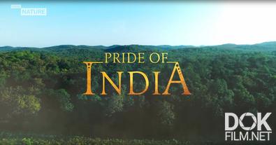 Индийский прайд/ Pride of India (2022)