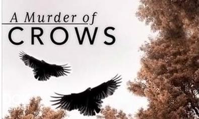 Воронья Стая / A Murder Of Crows (2010)