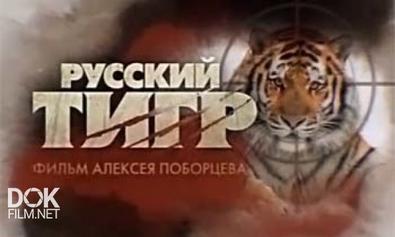 Русский Тигр (2013)