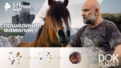 Как устроен мир с Тимофеем Баженовым. Лошадиная фамилия (01.09.2026)
