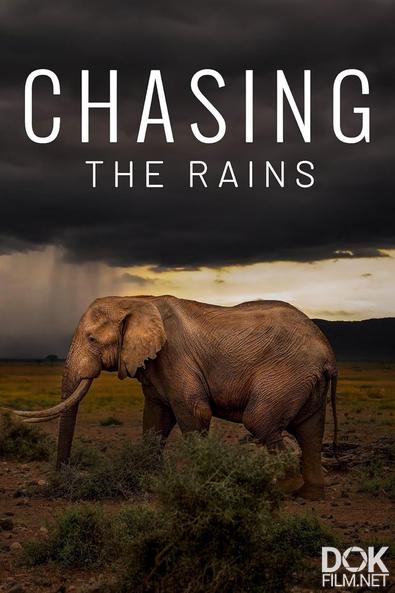 В погоне за дождями/ Chasing the Rains (2022)