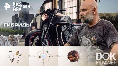 Как устроен мир с Тимофеем Баженовым. Гибриды (28.01.2026)