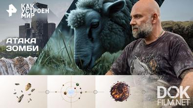 Как устроен мир с Тимофеем Баженовым. Атака зомби (13.02.2026)