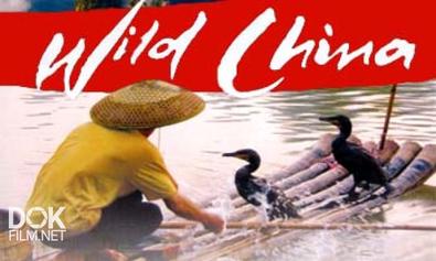 Дикий Китай / Wild China (2008)