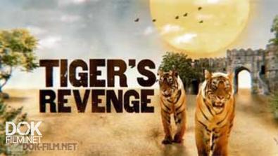 Месть Тигра / Tiger\'S Revenge (2014)