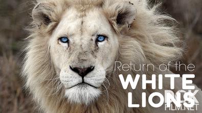 Возвращение белого льва/ Return of the White Lion (2008)