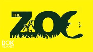Дублинский Зоопарк / Dublin Zoo (2014)
