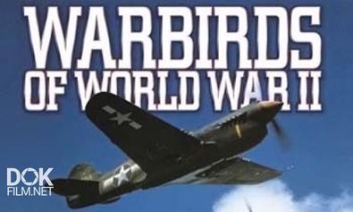 Железные Птицы Второй Мировой Войны / War Birds Of World War Ii (2008)