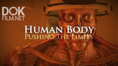 Тело Человека. Грани Возможного. Как Работает Наше Зрение/ Human Body: Pushing The Limits. Sight (2008)