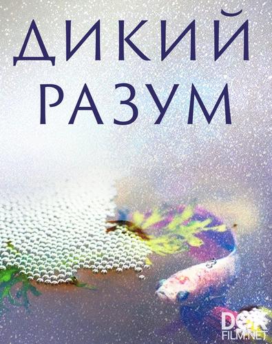 Дикий разум/ Дико умные/ Mind Wild (2021)