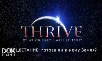 Процветание: Готова Ли К Нему Земля? / Thrive. What On Earth Will It Take? (2010)
