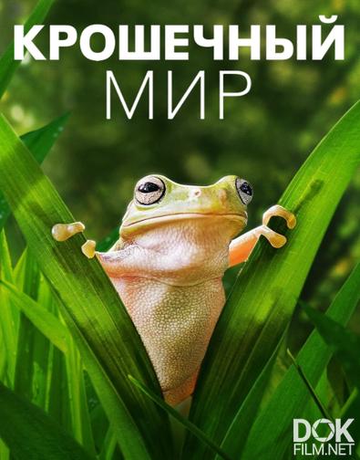 Крошечный мир/ Tiny World. Сезон 2 (2021)