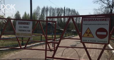 Чернобыль 33 Года Спустя. Специальный Репортаж (2019)