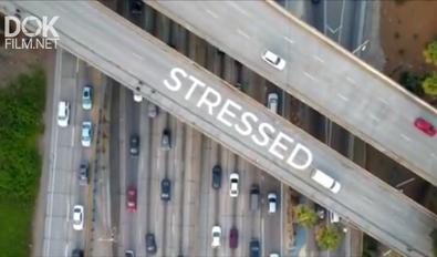 В Состоянии Стресса/ Stressed (2019)