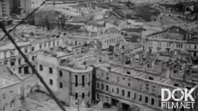 Рассекреченная история. Архитектура жизни (2026)