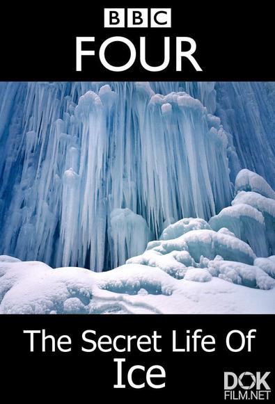 Тайная жизнь льда/ The Secret Life of Ice (2011)
