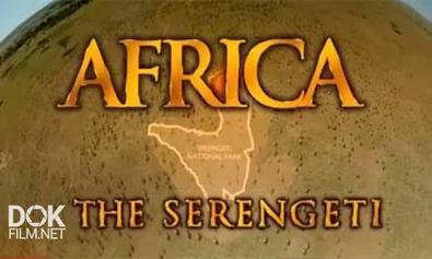 Африка: Серенгети / Africa: The Serengeti (1994)