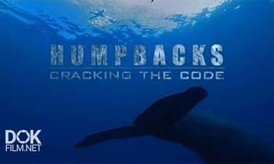 Киты-Горбачи: Разгадка Кода / Humpbacks: Cracking The Code (2008)