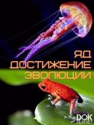 Яд. Достижение эволюции/ Poison, an evolutionary mystery (2015)