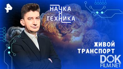 Наука и техника. Живой транспорт (2026)