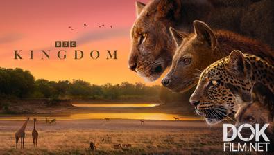 Царство животных (Королевство)/ Kingdom (2025)
