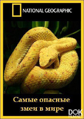 Самые опасные змеи в мире/ World's deadliest snakes (2010)
