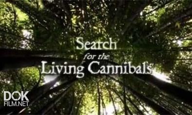 В Поисках Живых Каннибалов / Search For The Living Cannibals (2010)