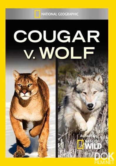 Пума против волка/ Cougar vs Wolf (2013)