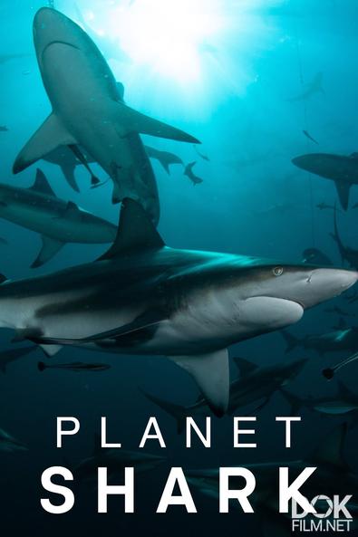 Планета акул/ Planet Shark (2022)