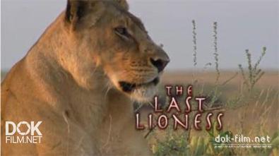 Последняя Львица / The Last Lioness (2010)