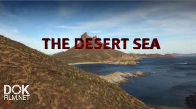 Пустынное Море / The Desert Sea (2016)