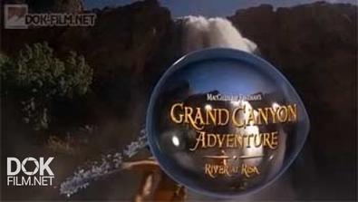 Приключение В Большом Каньоне: Река В Опасности / Grand Canyon Adventure: River At Risk (2008)