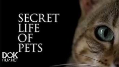 Тайная Жизнь Домашних Питомцев / Secret Life Of Pets (2014)